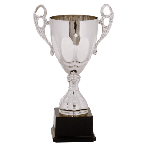 Completed Metal Cup Trophy On Plastic Base