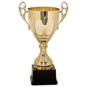 Completed Metal Cup Trophy On Plastic Base