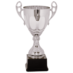 Completed Metal Cup Trophy On Plastic Base