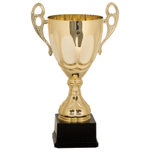 Completed Metal Cup Trophy On Plastic Base