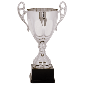 Completed Metal Cup Trophy On Plastic Base