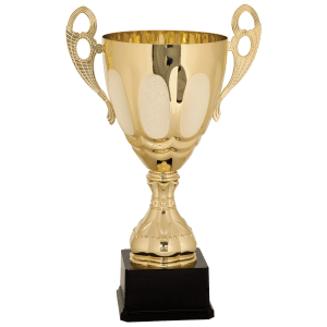 Completed Metal Cup Trophy On Plastic Base