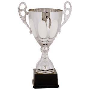 Completed Metal Cup Trophy On Plastic Base