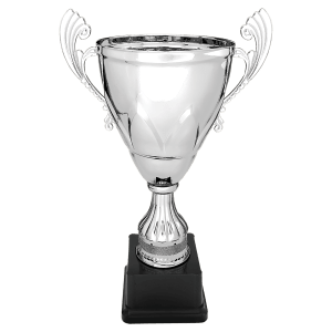 Completed Metal Cup On Plastic Base