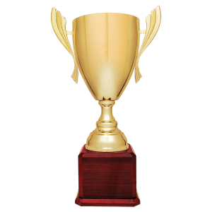 Completed Metal Cup Trophy On Rosewood Royal Piano Finish Base