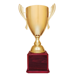 Completed Metal Cup Trophy On Rosewood Royal Piano Finish Base