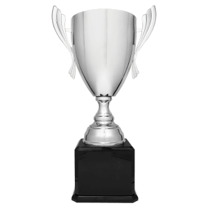 Completed Metal Cup Trophy On Rosewood Royal Piano Finish Base