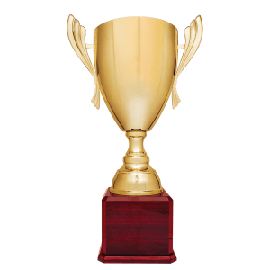 Completed Metal Cup Trophy On Rosewood Royal Piano Finish Base