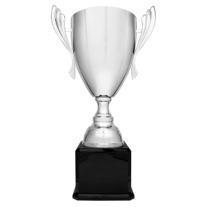Completed Metal Cup Trophy On Rosewood Royal Piano Finish Base