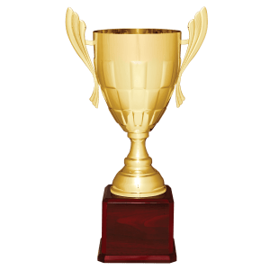 Completed Metal Cup Trophy On Rosewood Royal Piano Finish Base