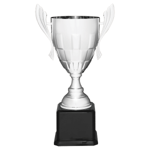 Completed Metal Cup Trophy On Rosewood Royal Piano Finish Base