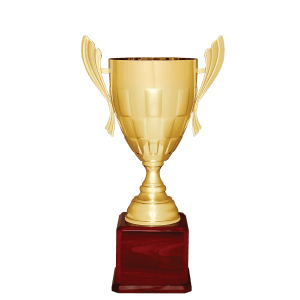 Completed Metal Cup Trophy On Rosewood Royal Piano Finish Base