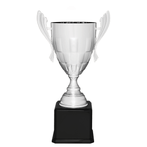 Completed Metal Cup Trophy On Rosewood Royal Piano Finish Base