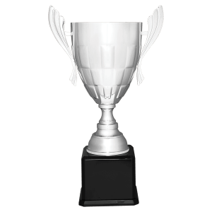 Completed Metal Cup Trophy On Rosewood Royal Piano Finish Base