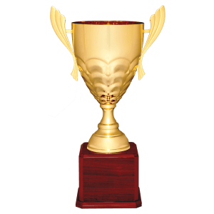 Completed Metal Cup Trophy On Rosewood Royal Piano Finish Base