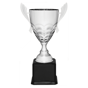 Completed Metal Cup Trophy On Rosewood Royal Piano Finish Base