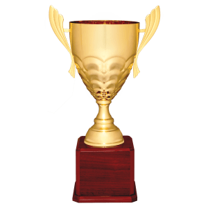 Completed Metal Cup Trophy On Rosewood Royal Piano Finish Base