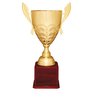 Completed Metal Cup Trophy On Rosewood Royal Piano Finish Base