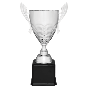 Completed Metal Cup Trophy On Rosewood Royal Piano Finish Base