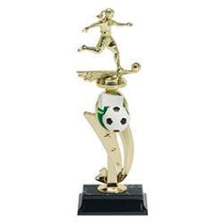 Color Scene Assembled Soccer Resin Trophy