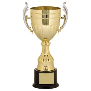 Plastic Completed Cup