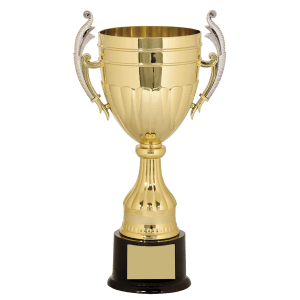 Plastic Completed Cup