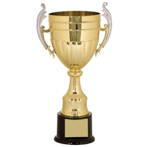 Plastic Completed Cup