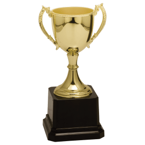Completed Zinc Cup Trophy