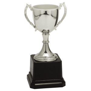 Completed Zinc Cup Trophy