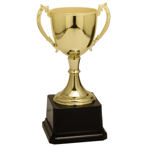 Completed Zinc Cup Trophy