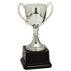 Completed Zinc Cup Trophy