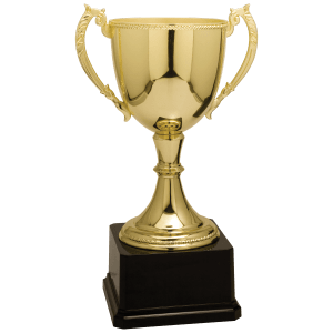 Completed Zinc Cup Trophy