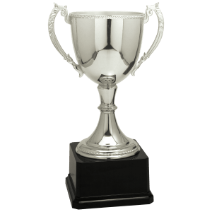 Completed Zinc Cup Trophy