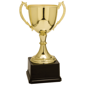 Completed Zinc Cup Trophy