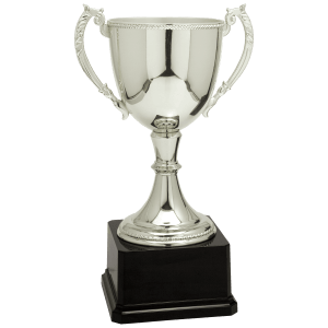 Completed Zinc Cup Trophy