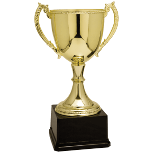 Completed Zinc Cup Trophy