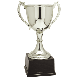 Completed Zinc Cup Trophy