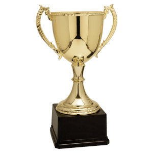 Completed Zinc Cup Trophy