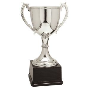 Completed Zinc Cup Trophy