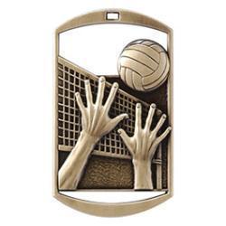 Dt Volleyball Medal - PDU CAT