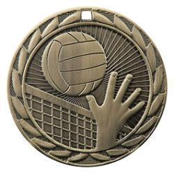 Iron Volleyball Medal - PDU CAT