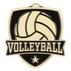 Shield Volleyball Medal - PDU CAT