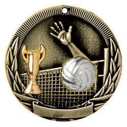 Tri-Colored Volleyball Medal - PDU CAT