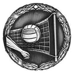 Xr Volleyball Medal - PDU CAT