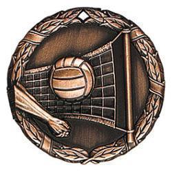 Xr Volleyball Medal - PDU CAT